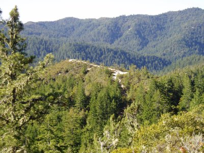 Coastal redwood, douglas fir, madrone, and alder forests