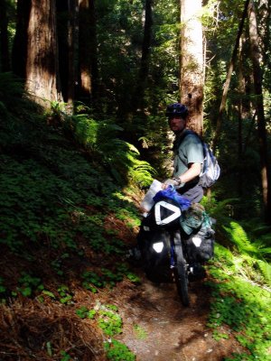 Redwood forest riding