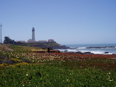 Day 2 - drove 5 mi to Pigeon Point lighthouse, Pescardero, CA (located 25 mi north of Santa Cruz on Hwy 1)