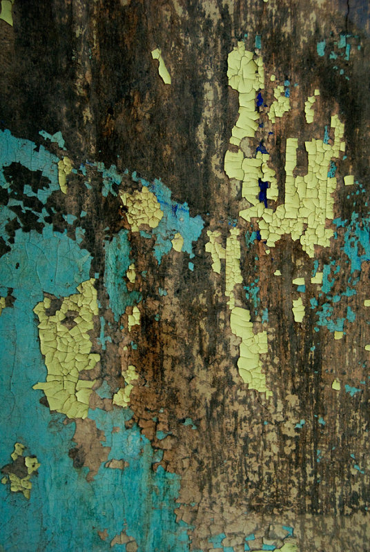 DSC_4295.jpg