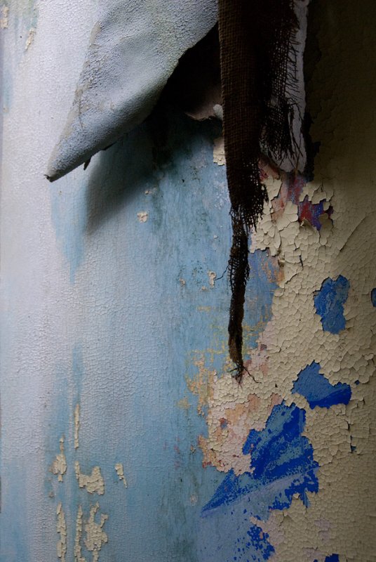 DSC_4407.jpg