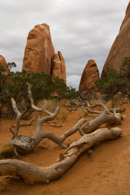 Arches Nat. Park - twisted