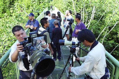 Sepilok - Crowd on the Canopy walkway of RDC