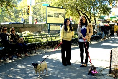 Central Park 2006
