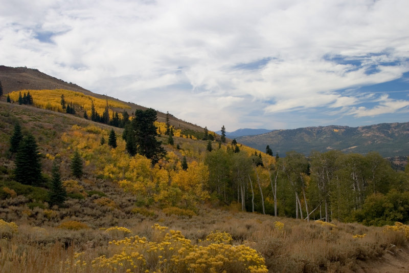 Nevada in the Fall