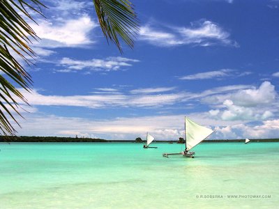 caledonie