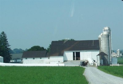 Amish farm, no electricity cables or cars