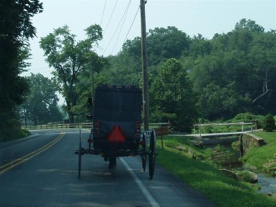 Amish on the move