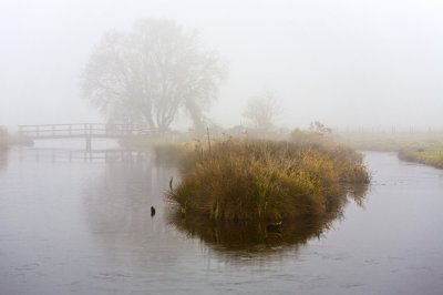 Misty polder, Middelpolder Netherlands 2008
