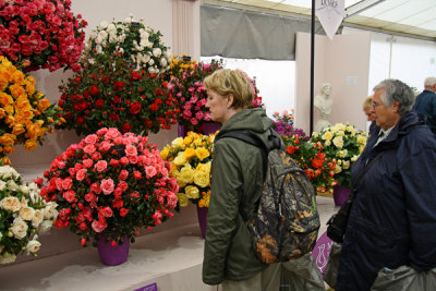 Hampton Court Flower Show 2008