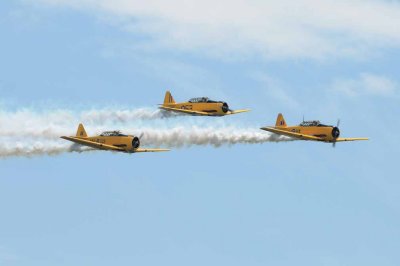 Harvards