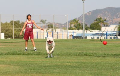 Waylon_20080712_045.jpg