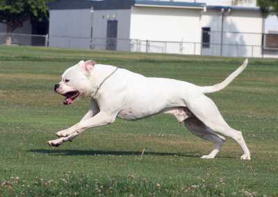 Waylon_20080712_066.jpg