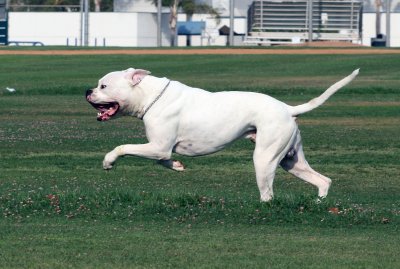 Waylon_20080712_069.jpg
