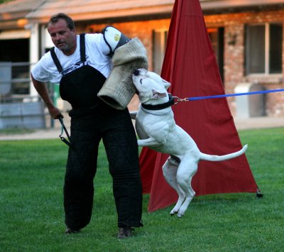 Waylon_20080714_113proc.jpg