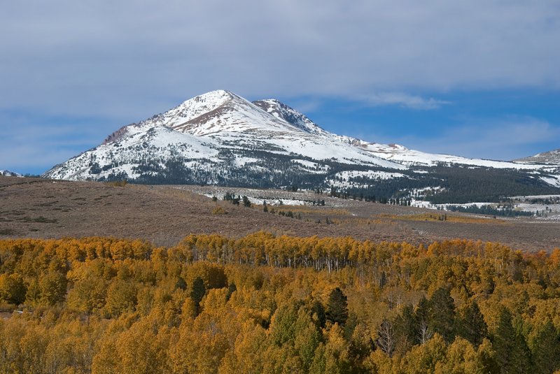 DSC_2530ab.jpg