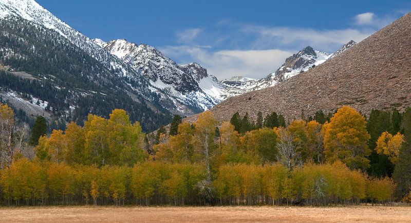 DSC_2577ab.jpg