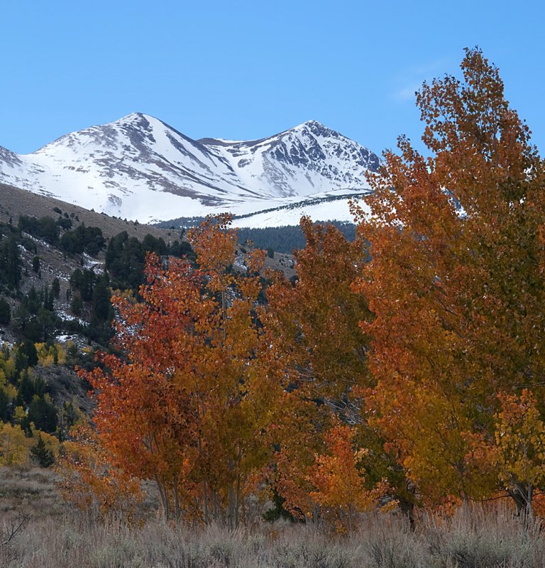 DSC_2592a.jpg