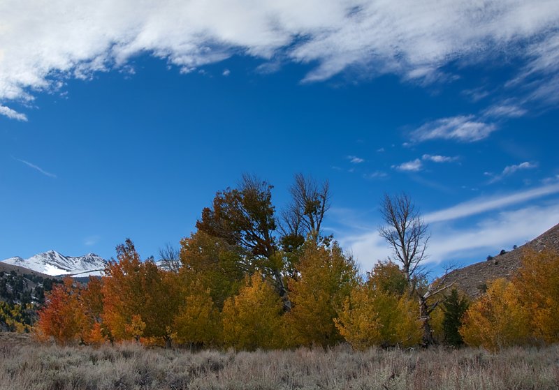 DSC_2599a.jpg