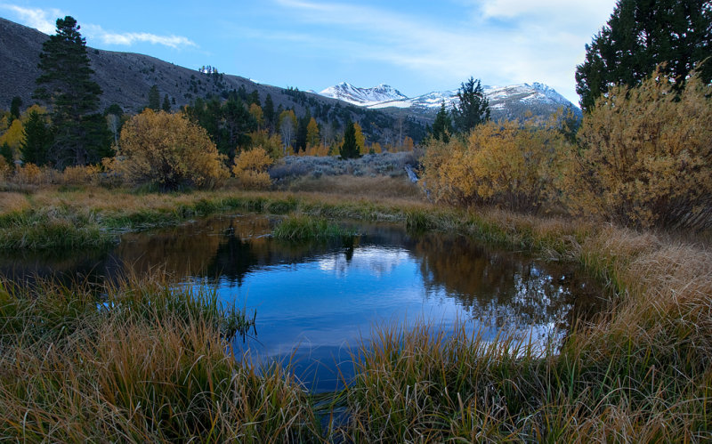 DSC_2902a.jpg