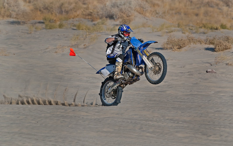 DSC_3633a.jpg