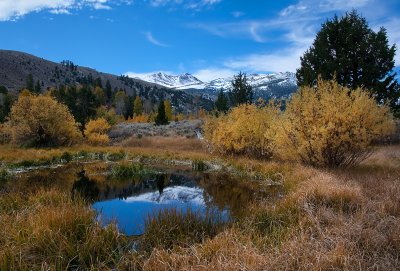 DSC_2622a.jpg