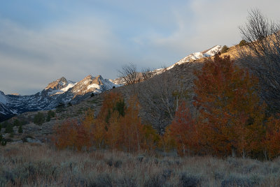DSC_2852a.jpg