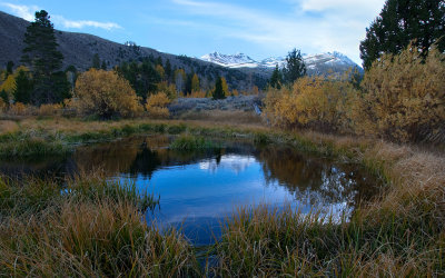 DSC_2902a.jpg
