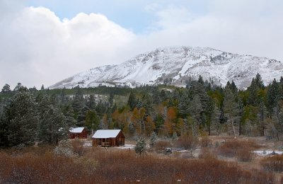 DSC_1737a.jpg