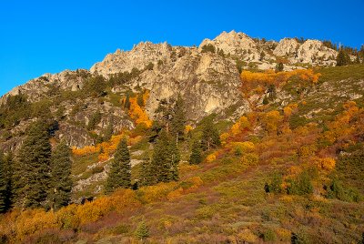 DSC_3041a.jpg