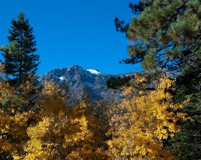 DSC_3204a.jpg