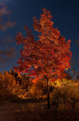 DSC_3210b.jpg