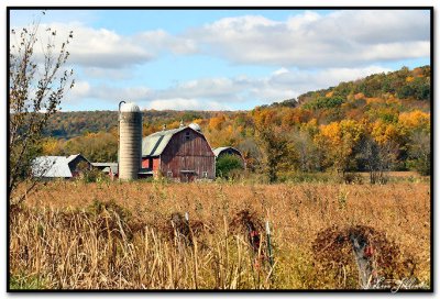 Autumn In Wisconsin