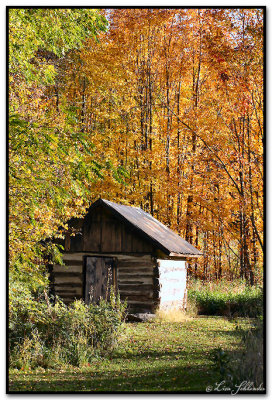 Orchard Buildings