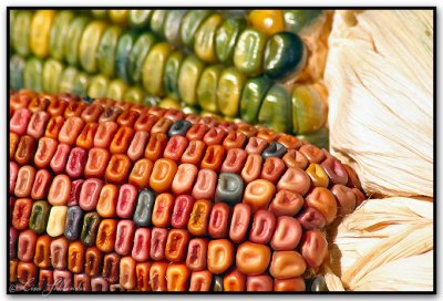 Colorful Corn
