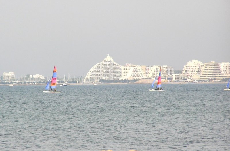 Sail Race.jpg