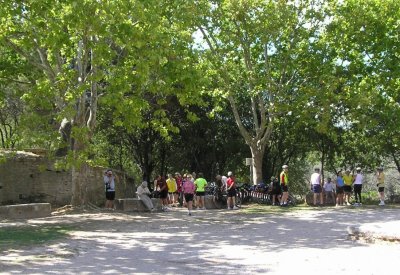 Glanum Stop.jpg