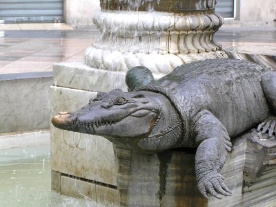 Crocodiles Smile.jpg