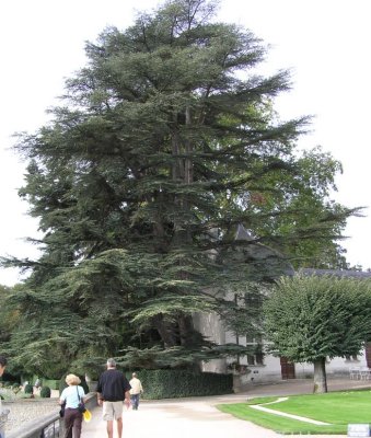 pa010162.jpg