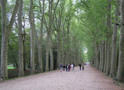 pa010195.jpg