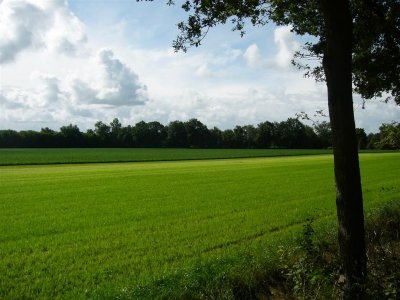 tussen Ruurlo en Eibergen