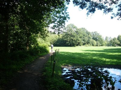 tussen Ruurlo en Eibergen