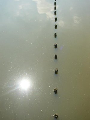 g5/78/312478/3/100798816.QAcAXWzz.jpg