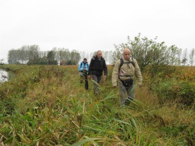 hoog gras langs het Leopoldkanaal