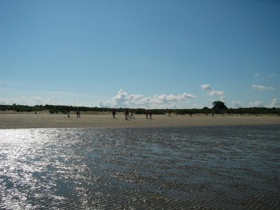 het strand van Voorne