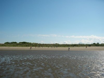 het strand van Voorne
