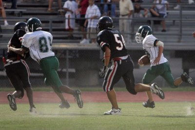 IMG_4661.jpg