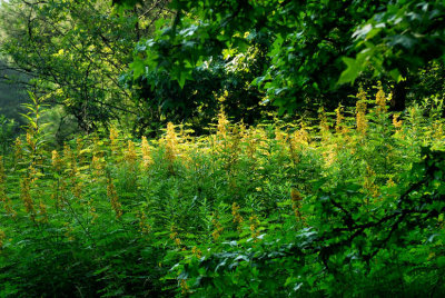 g5/78/33078/3/100604019.hRDHNe1o.jpg