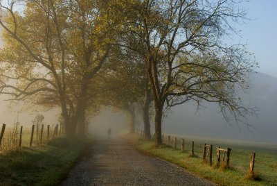 JPG CS Sparks Fog DSC_9337.jpg