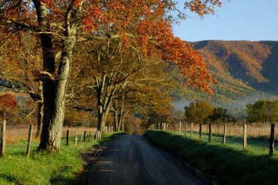  Autumn Road